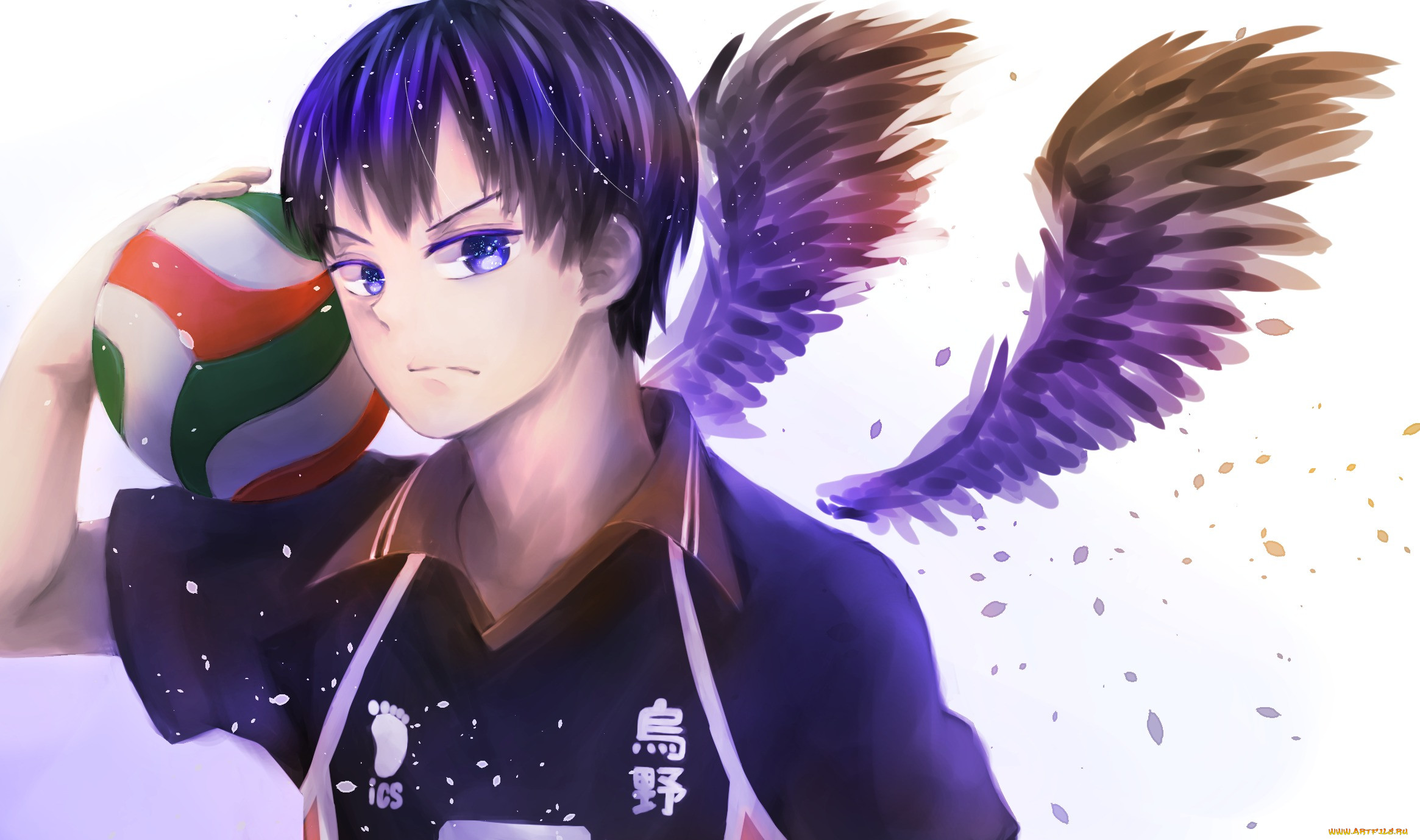 , haikyuu, nyoki1228, , , , , tobio, kageyama